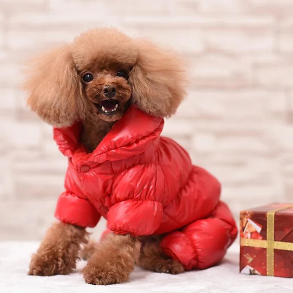 Dog Jumpsuit Jacket Size XS